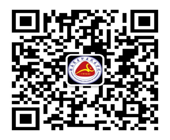 亚洲色欲久久久久综合网