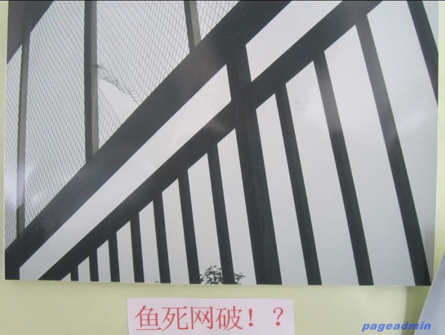 亚洲色欲久久久久综合网