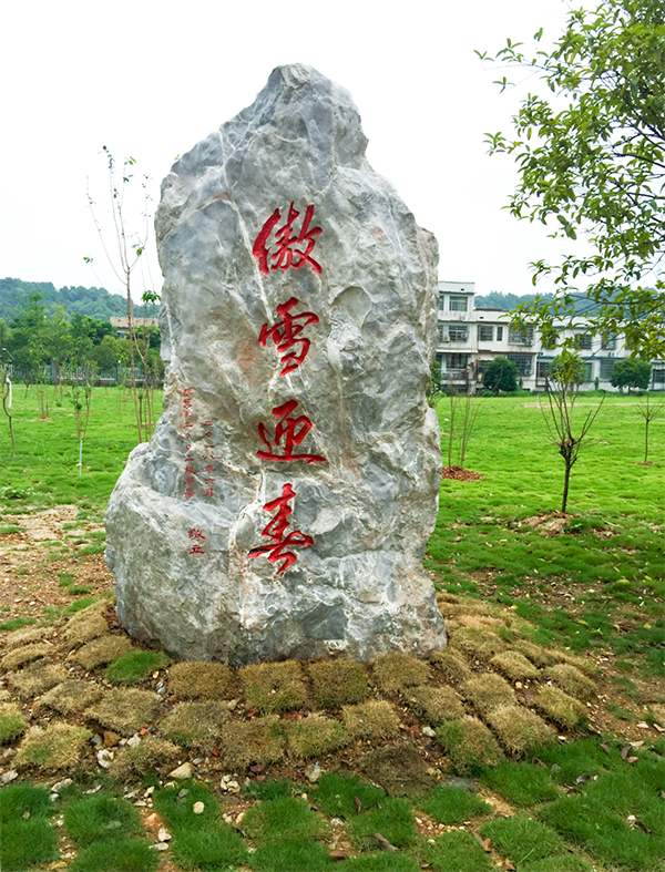 亚洲色欲久久久久综合网