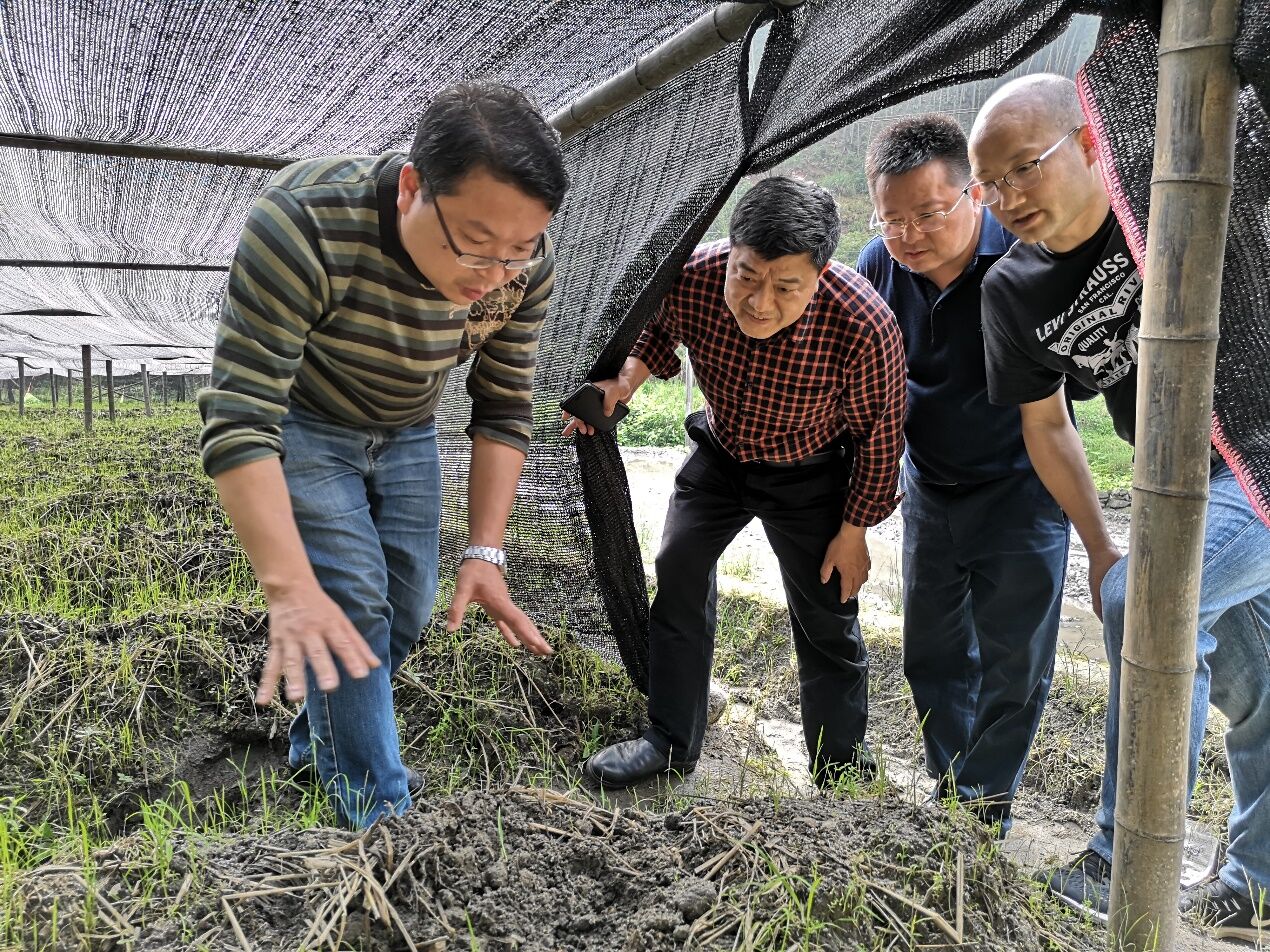 亚洲色欲久久久久综合网
