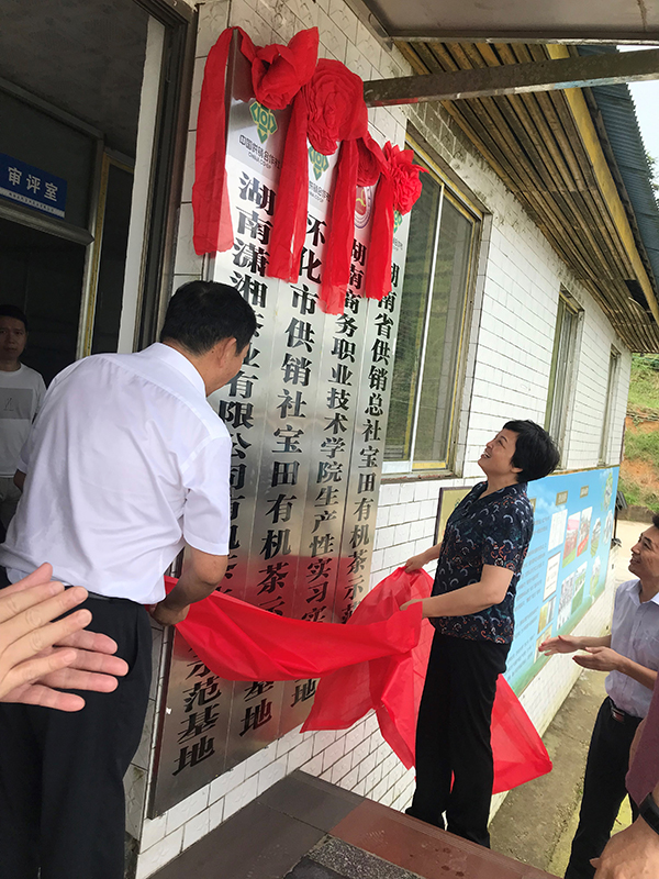 亚洲色欲久久久久综合网