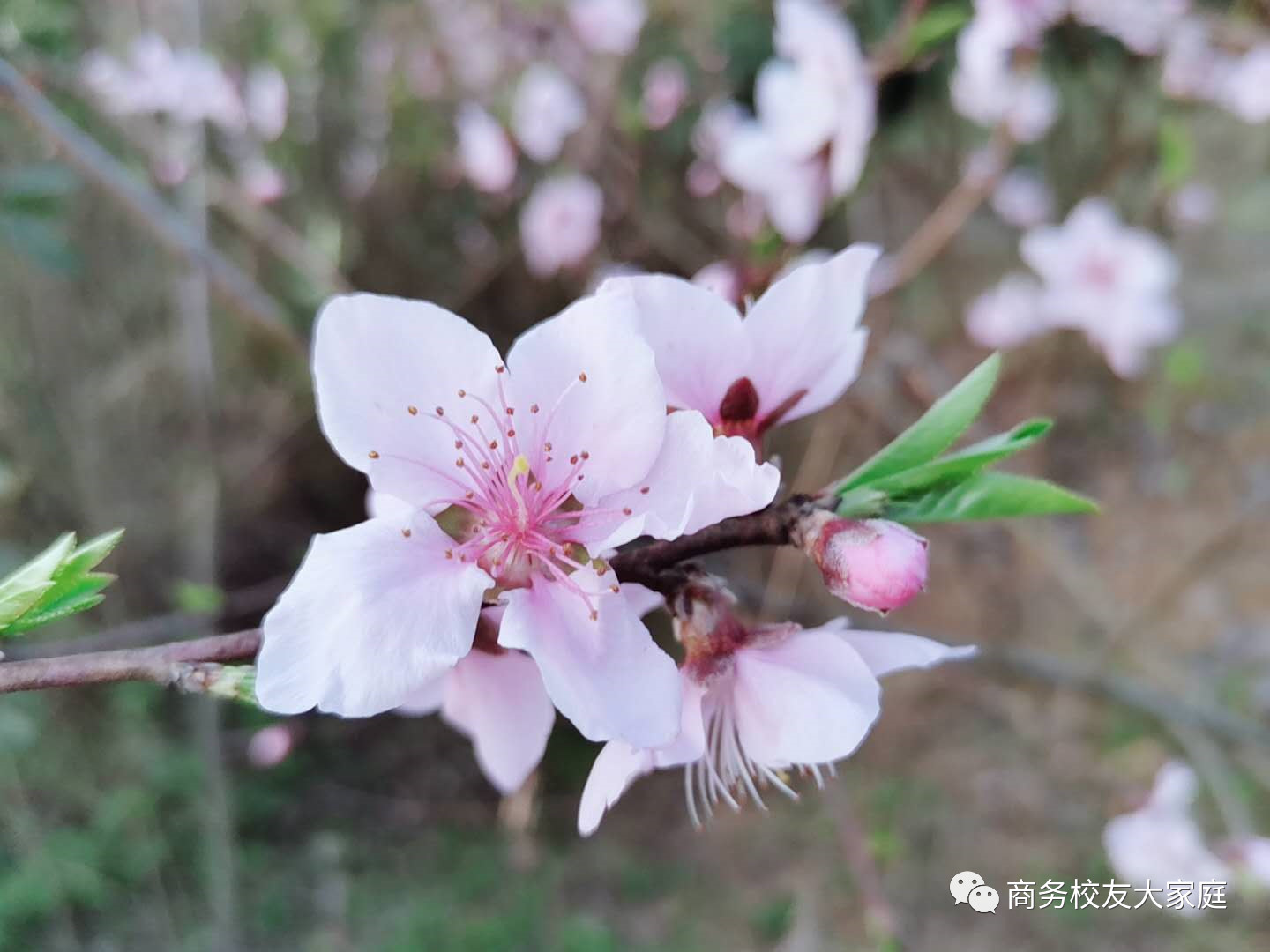 亚洲色欲久久久久综合网