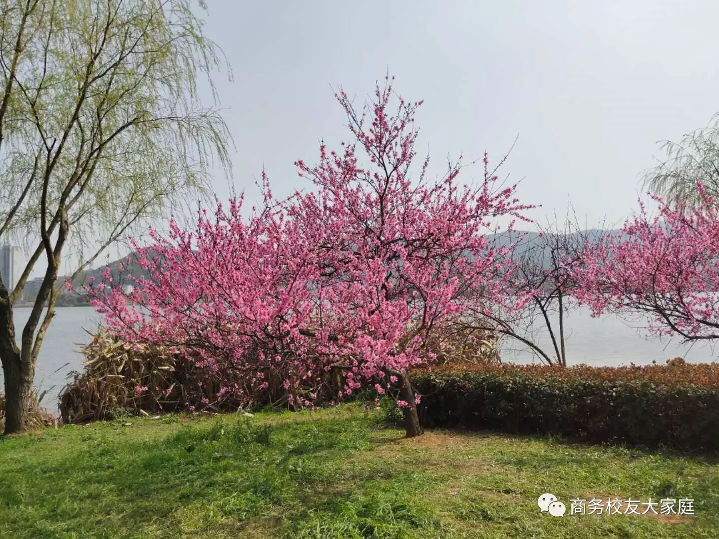 亚洲色欲久久久久综合网