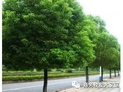 亚洲色欲久久久久综合网