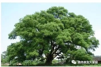 亚洲色欲久久久久综合网