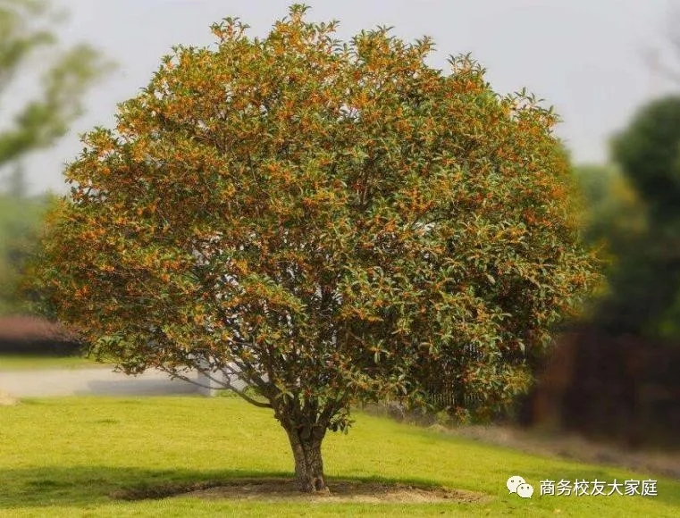 亚洲色欲久久久久综合网