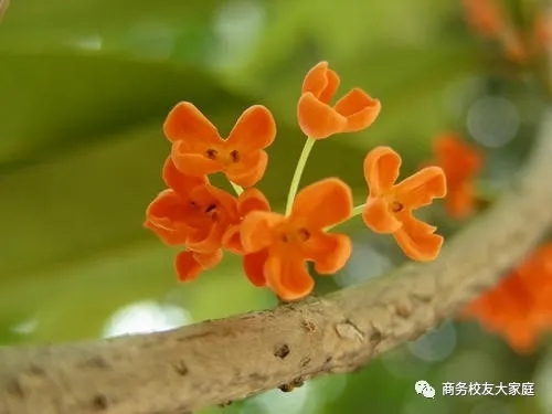 亚洲色欲久久久久综合网