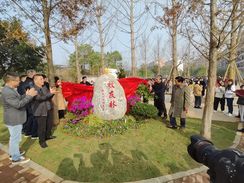 亚洲色欲久久久久综合网