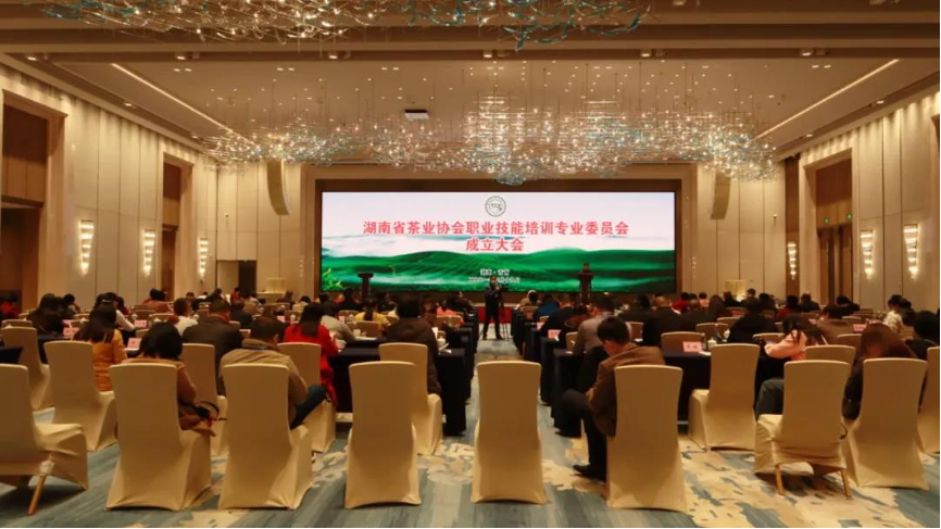 亚洲色欲久久久久综合网