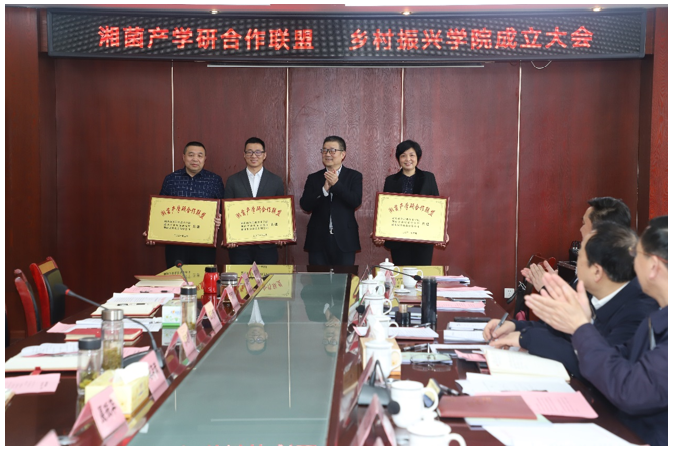 亚洲色欲久久久久综合网