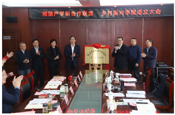 亚洲色欲久久久久综合网