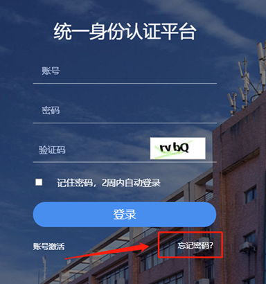 亚洲色欲久久久久综合网