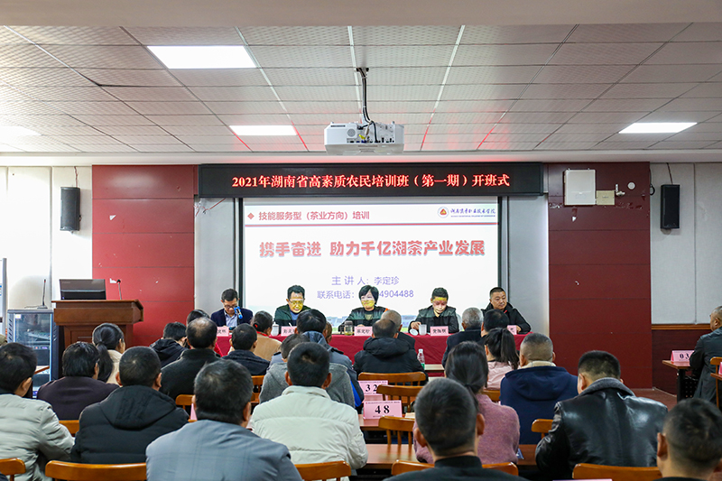 亚洲色欲久久久久综合网