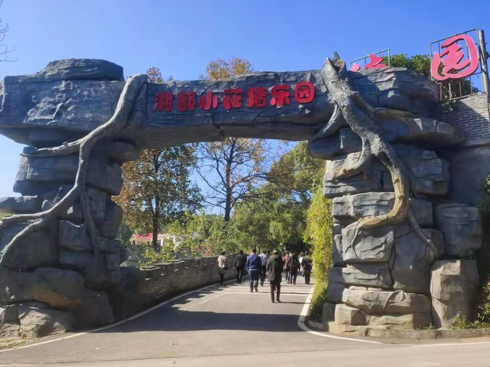 亚洲色欲久久久久综合网