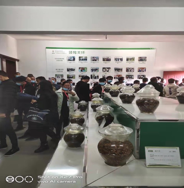 亚洲色欲久久久久综合网