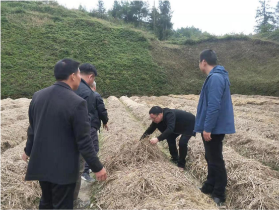亚洲色欲久久久久综合网