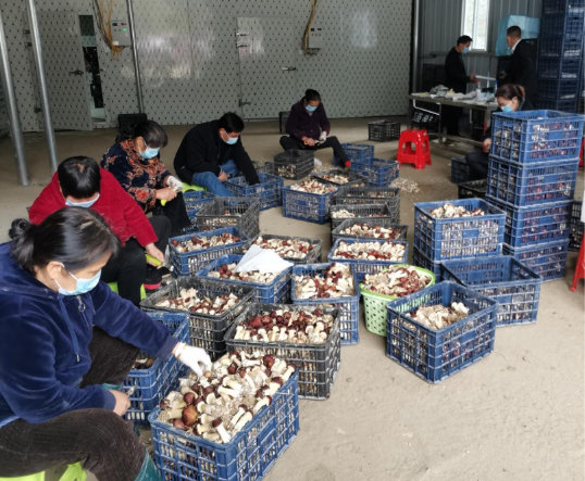 亚洲色欲久久久久综合网