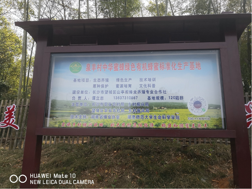 亚洲色欲久久久久综合网
