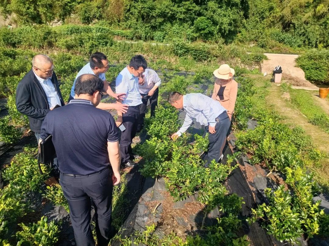 亚洲色欲久久久久综合网:湘西特聘专家服务团启动帮扶活动