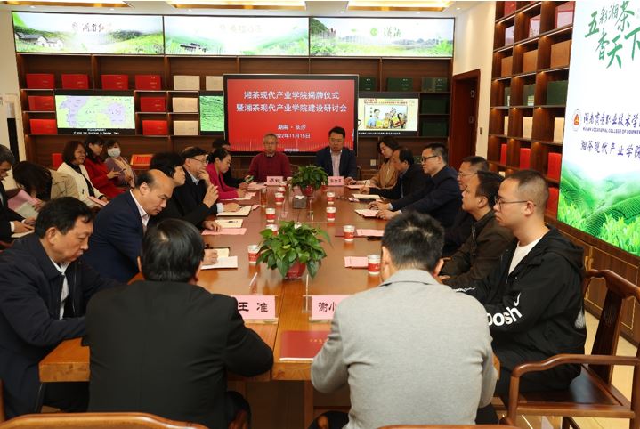 亚洲色欲久久久久综合网