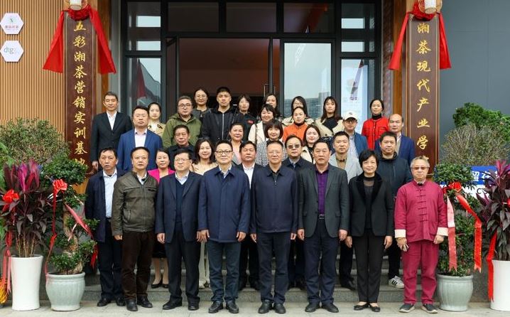 亚洲色欲久久久久综合网