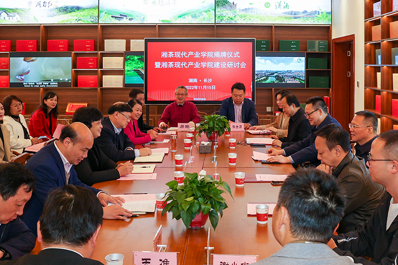 亚洲色欲久久久久综合网