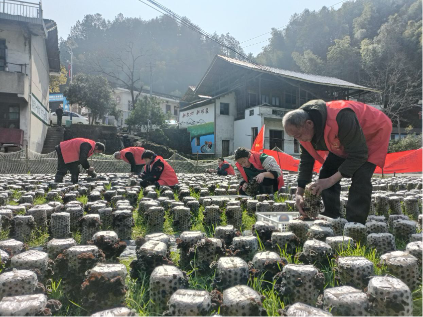 亚洲色欲久久久久综合网