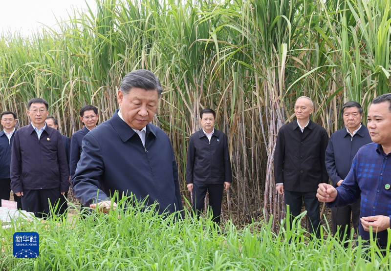 亚洲色欲久久久久综合网