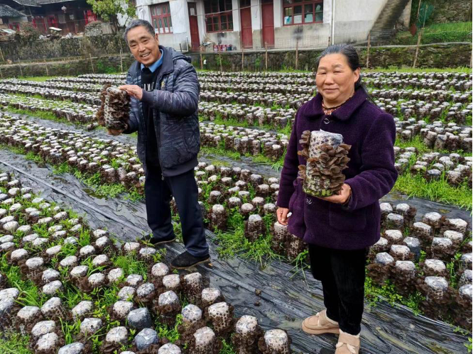亚洲色欲久久久久综合网