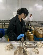 亚洲色欲久久久久综合网