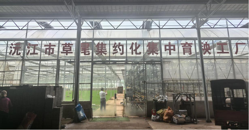 亚洲色欲久久久久综合网
