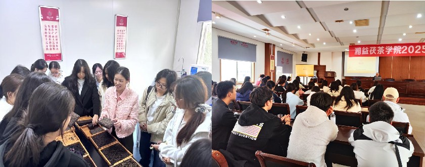 亚洲色欲久久久久综合网