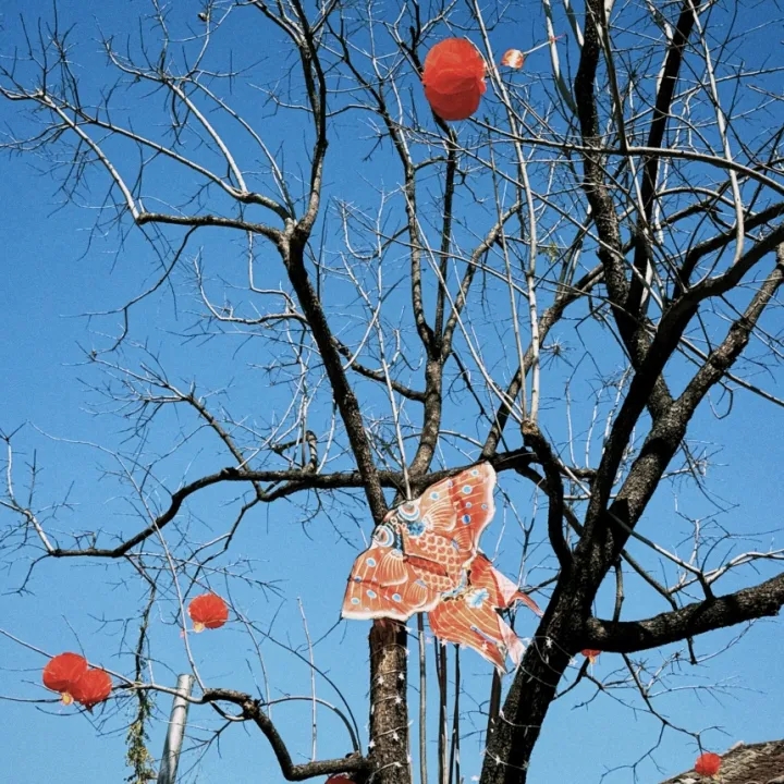 亚洲色欲久久久久综合网