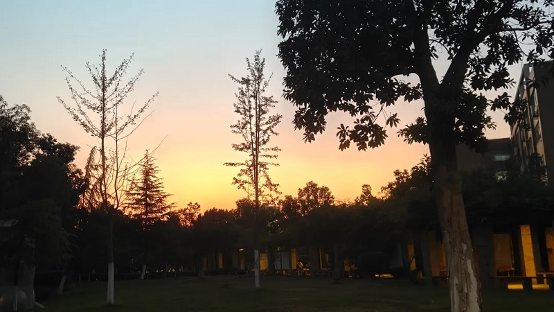 亚洲色欲久久久久综合网