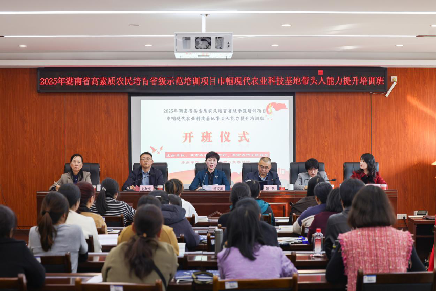 亚洲色欲久久久久综合网