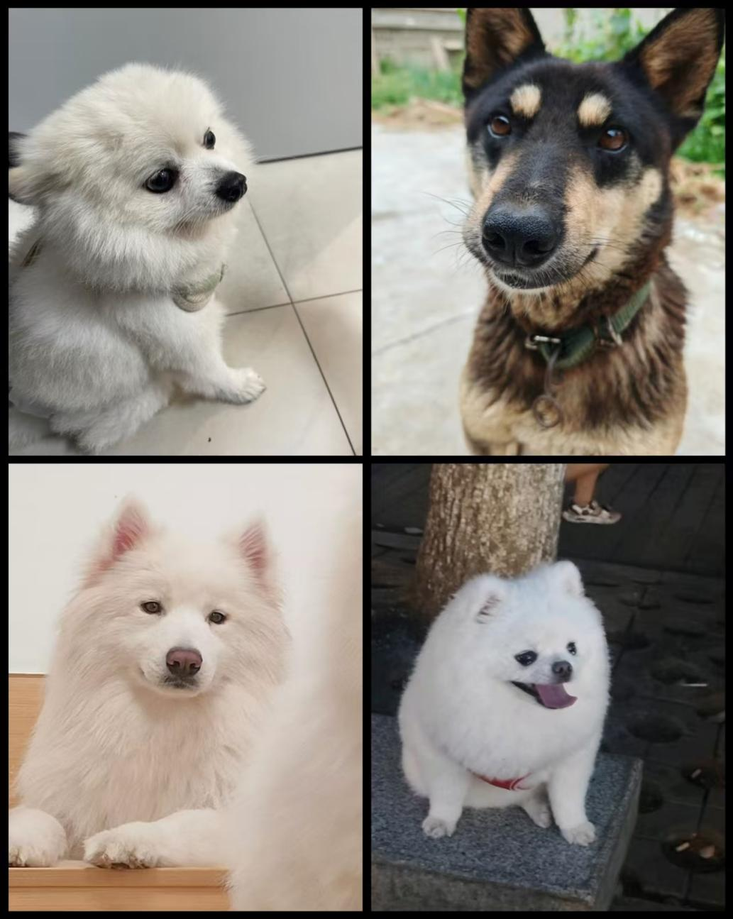 亚洲色欲久久久久综合网