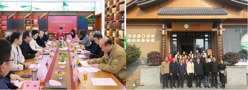 亚洲色欲久久久久综合网