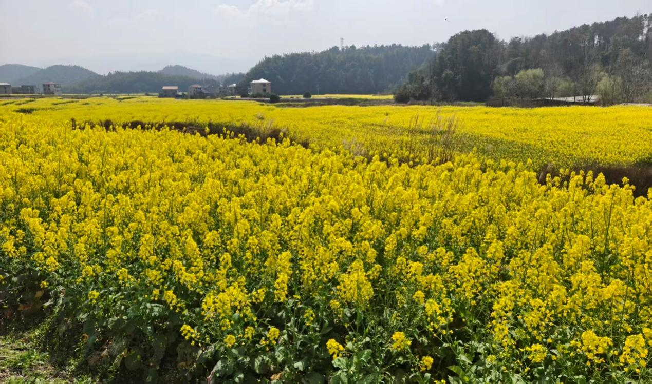 亚洲色欲久久久久综合网