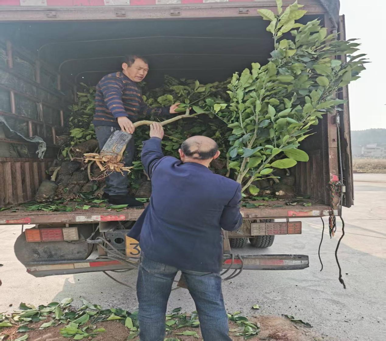 亚洲色欲久久久久综合网