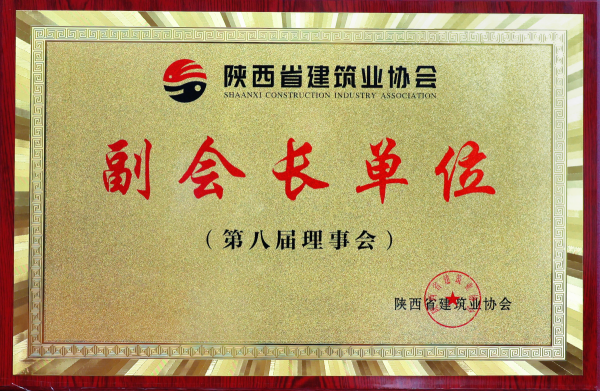 陕建协副会长单位-有色建设（第八届理事会）_副本_副本.png